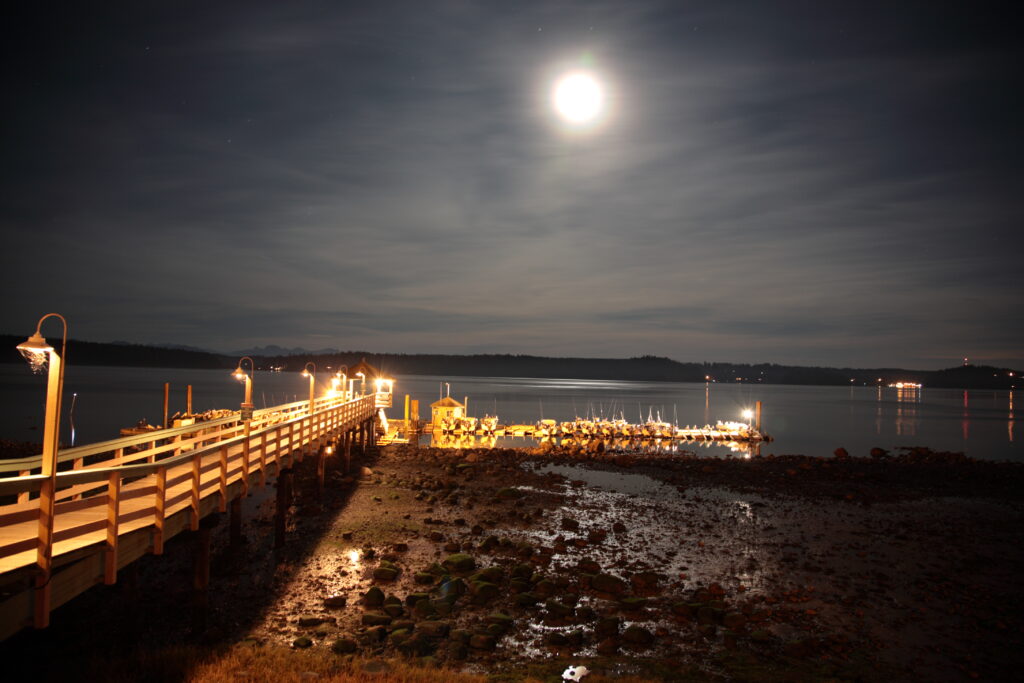How the Right Dock Lighting Design Enhances Safety and Aesthetics at Night