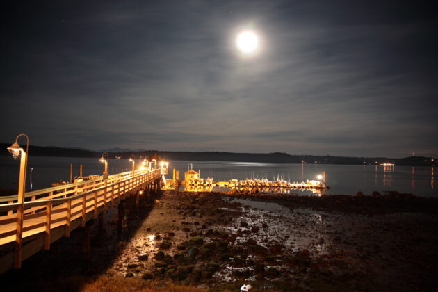How the Right Dock Lighting Design Enhances Safety and Aesthetics at Night